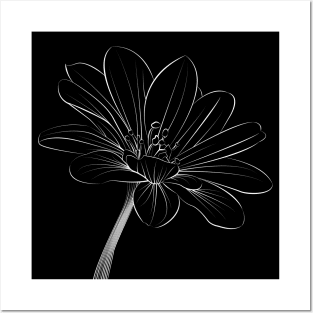 White Flower Illustration Posters and Art